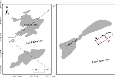 Behavior of large yellow croaker (Larimichthys crocea) in pen aquaculture as measured by meter-scale telemetry